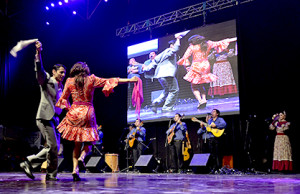 entre-cuecas_portada16