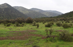 quebrada-de-la-plata-D-20